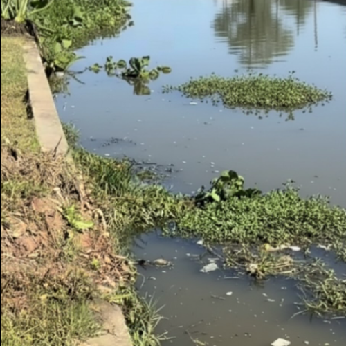 Corpo em avançado estado de decomposição é encontrado em São Leopoldo